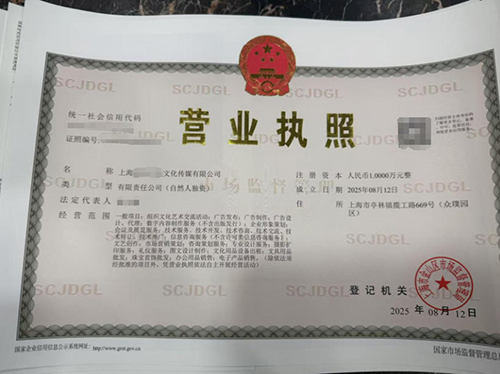 如何辦理上海金山區(qū)注冊一個文化傳媒有限公司