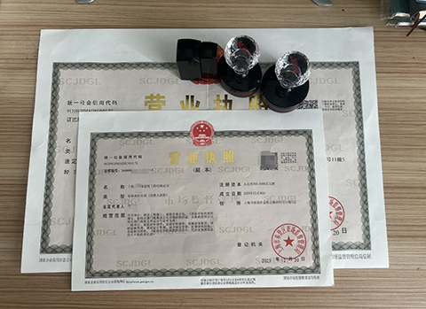 德國(guó)公司如何在上海設(shè)立全資子公司_德國(guó)公司上海設(shè)立全資子公司流程